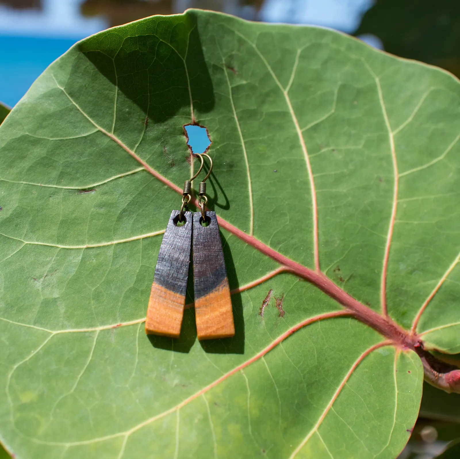 Dark and orange wooden earrings hung on a sea grape leaf