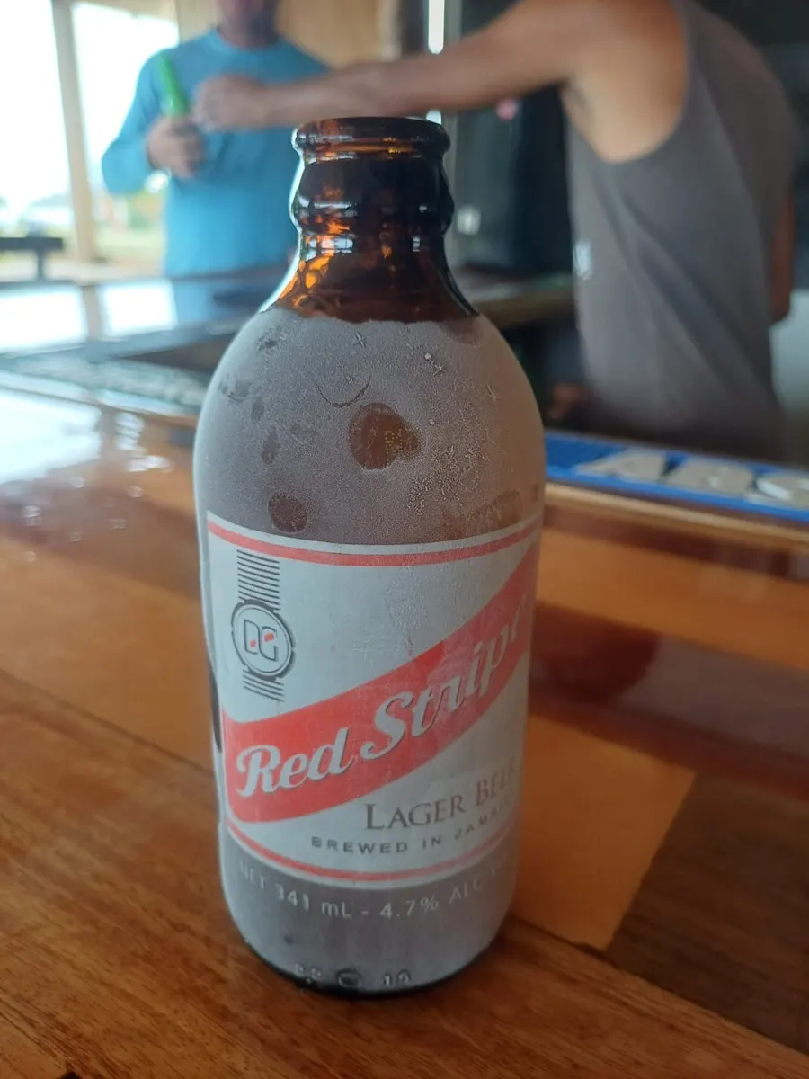 An ice-cold Red Stripe lager, frosted over, on the polished wooden bar