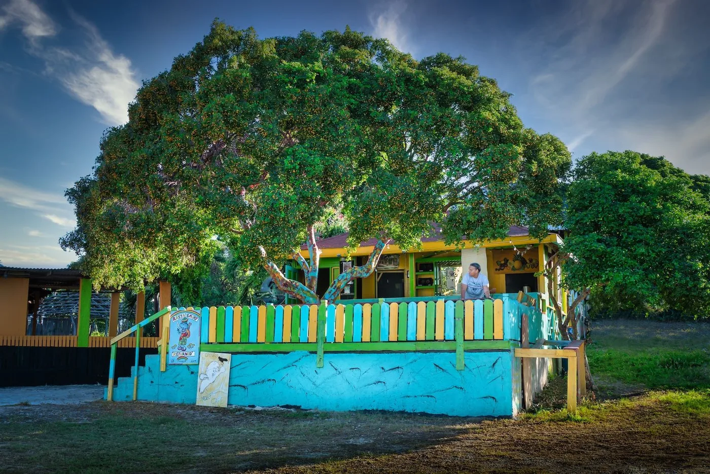 Smurf’s Cafe: a small wooden building painted yellow, green and turquoise, with a colourful picket railing along its veranda and a painted sign reading Rasta Smurf Returned, under a large spreading tree full of small orange fruit, with a person leaning on the railing