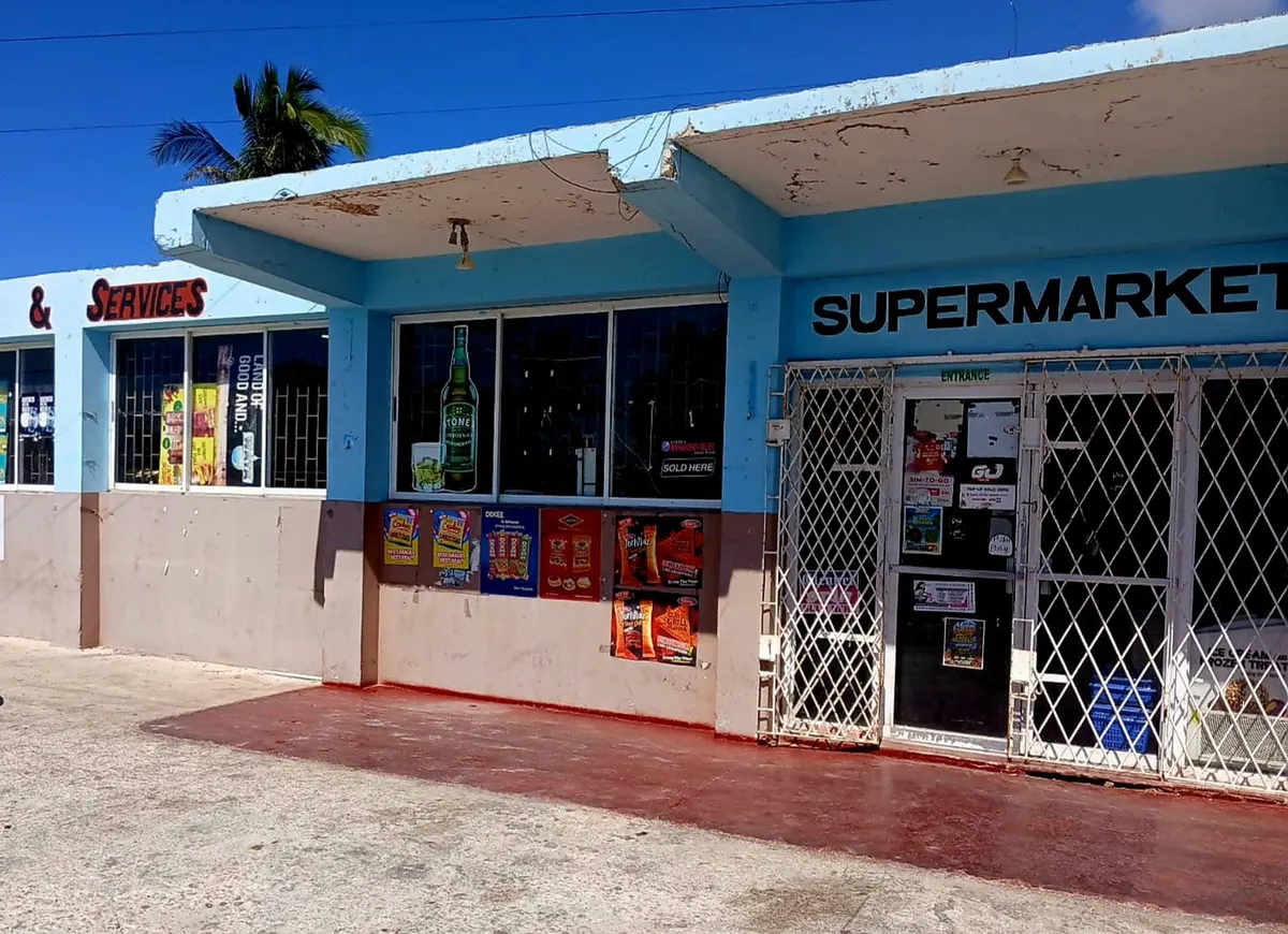The front of Southern Supplies and Service: a light blue and pink building under a deep blue sky, with Services and Supermarket in large letters, windows of posters and snack advertisements, and a white security gate over the entrance