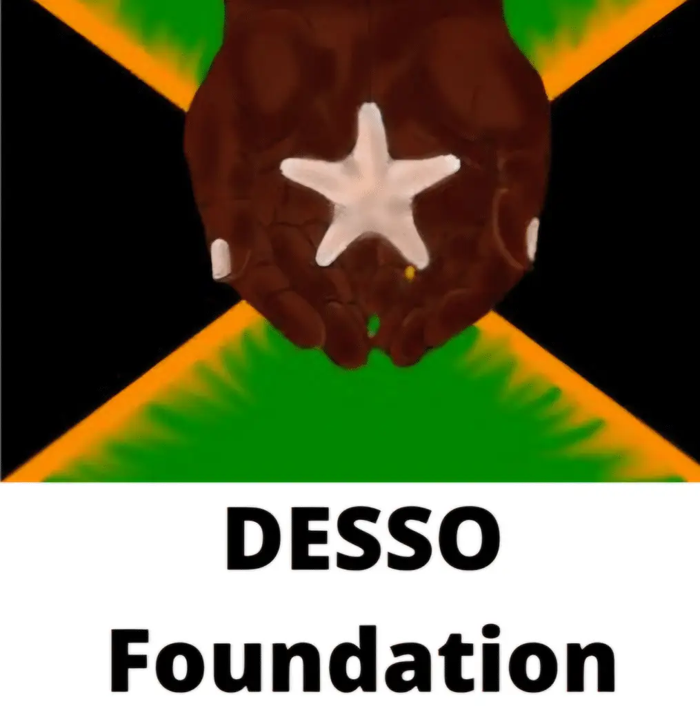 The DESSO Foundation