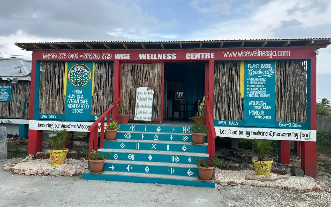 The front of the Wise Wellness Centre: a red and teal building with painted steps, signs for yoga, a day spa, a vegan café and a health food store