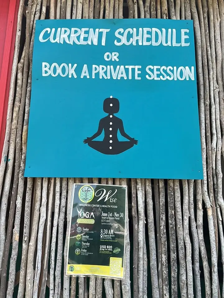 A teal sign reading “Current schedule or book a private session” above the Wise Wellness yoga schedule poster